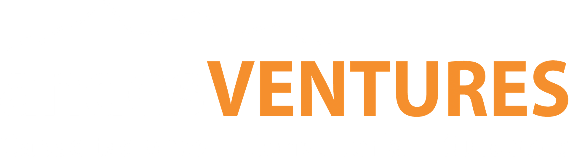 Logo Andes Ventures